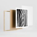 Plakat w ramie 40x50 - Pasy Zebr - zebra, paski - rama drewno