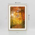 Plakat w ramie 50x70 - Złote barwy jesiennego lasu - las, jesień - rama drewno