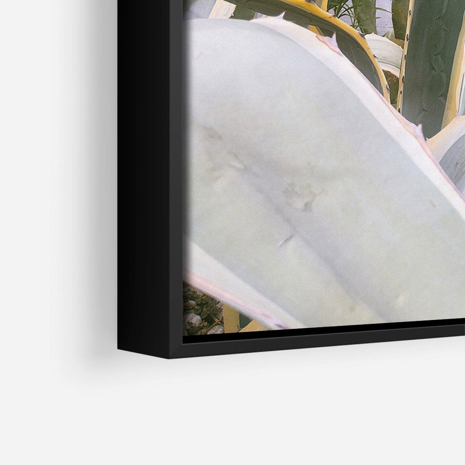 Obraz w ramie 50x70 - Sukulentowe liście - liście, sukulenty - rama czarna