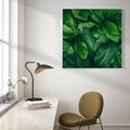 Obraz w ramie 80x80 - Palma Liście Kwiat - palma, liście - rama biała