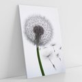 Obraz na płótnie 50x70 - Lekkość Przemijania - dmuchawiec, makro
