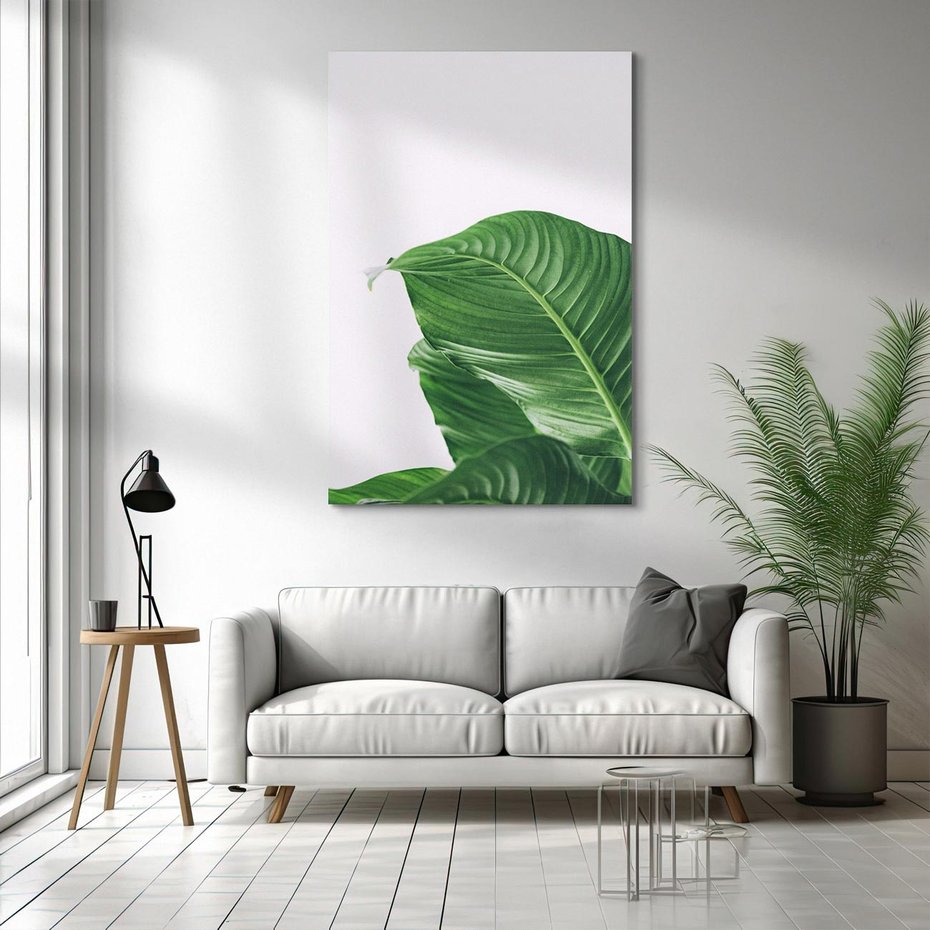 Obraz na płótnie 50x70 - Zielone liście monstery - liście, monstera
