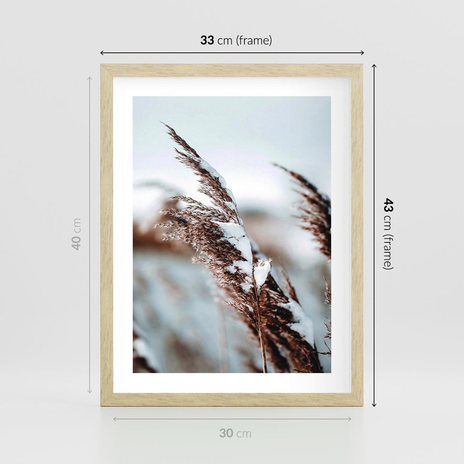 Plakat w ramie 30x40 - Zima na Suchych Trawach - suche trawy, śnieg wysokich na trawach - rama drewno