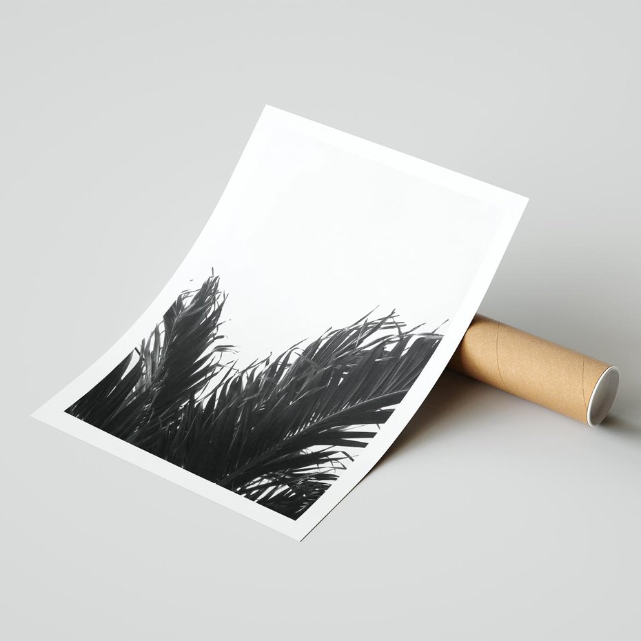Plakat bez ramy 21x30 - Tropikalna Uroda w Czerni i Bieli - fotografia czarno biała, liście palmy
