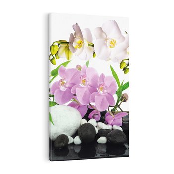 Obraz na płótnie 80x120 - Orchidea w SPA - spa, orchidea