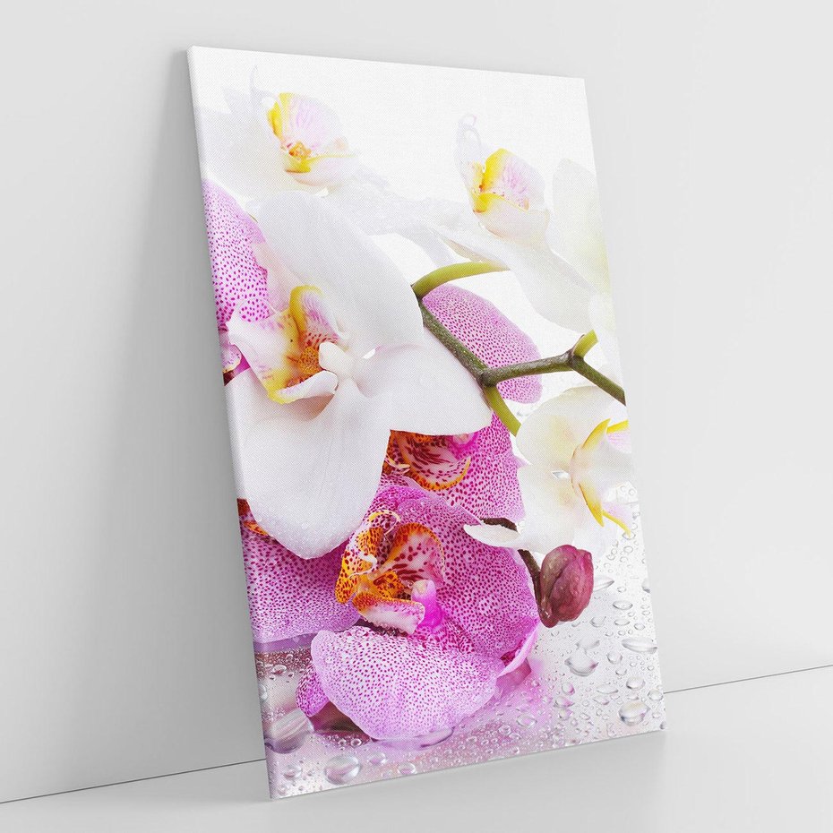 Obraz na płótnie 80x120 - Magia kwiatów - kwiaty