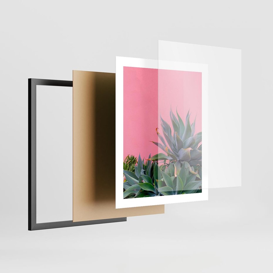 Plakat w ramie 40x50 - Tropikalne Liście na Różowej Ścianie - różowa ściana, tropikalne liście na jej tle - rama czarna