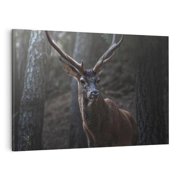 Obraz na płótnie 120x80 - Jeleń wśród lasu - jeleń, las