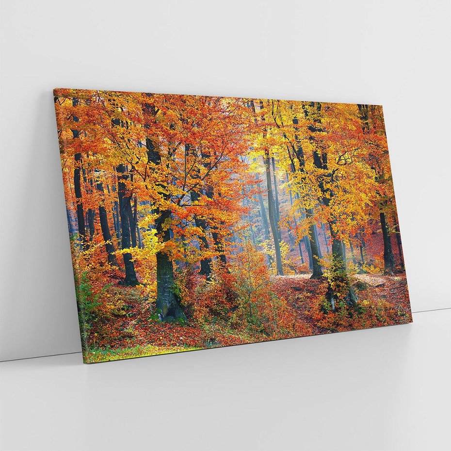 Obraz na płótnie 120x80 - Jesienny taniec lasu - jesień, las