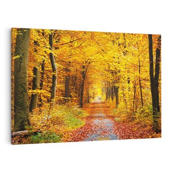 Obraz na płótnie 120x80 - Jesień w lesie - las, drzewa