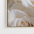 Obraz w ramie 80x120 - Białe róże piękności - białe, róże - rama drewno