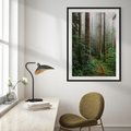 Plakat bez ramy 21x30 - Mgliste Marzenia - artystyczna fotografia, las