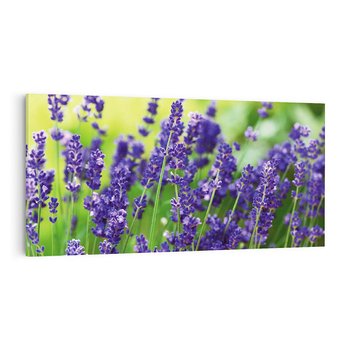 Obraz na płótnie 120x60 - Elegancka lawenda w pełnym rozkwicie - lawenda, kwiaty