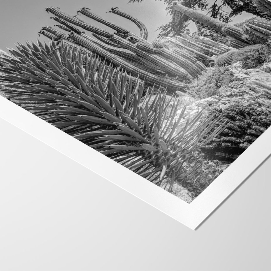 Plakat bez ramy 21x30 - Pustynny Klimat - czarno białe zdjecie, pustynia