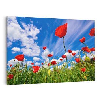 Obraz na płótnie 70x50 - Soczyste Kolory Przyrody - mak, maki