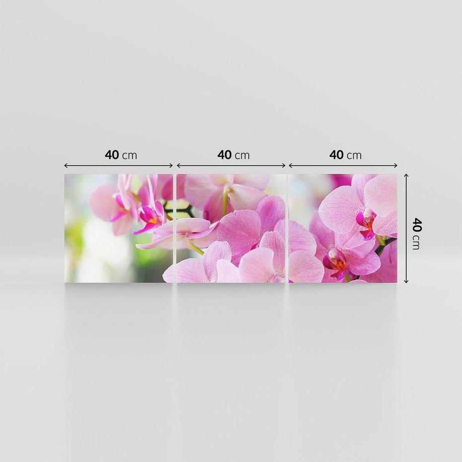 Obraz na płótnie 120x40 - Elegancja orchidei - orchidea, kwiaty