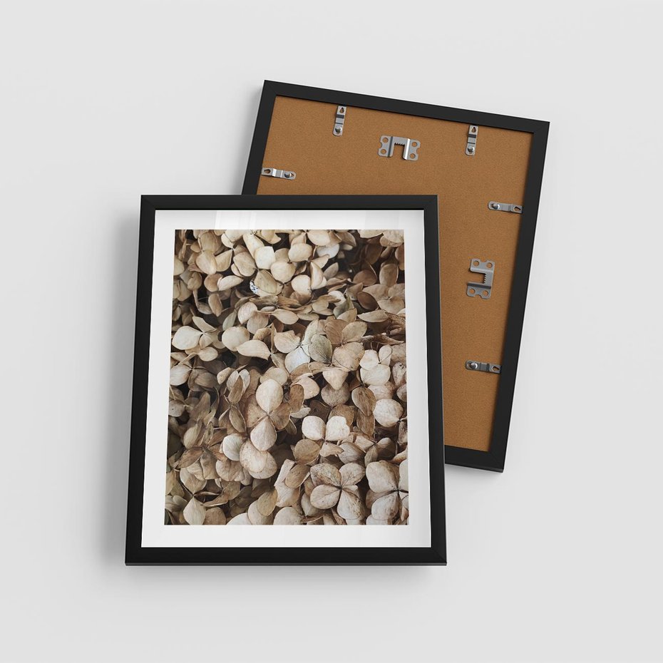 Plakat w ramie 40x50 - Delikatność Hortensji: Kompozycja Kwiatów w Beżu - hortensja, odcienie beżu - rama czarna