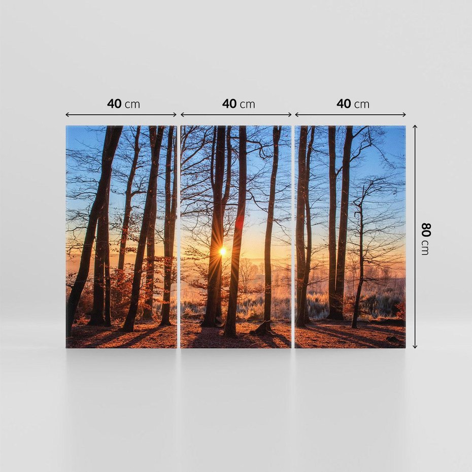 Obraz na płótnie 120x80 - Zachód słońca w jesiennym lesie - zachód słońca,