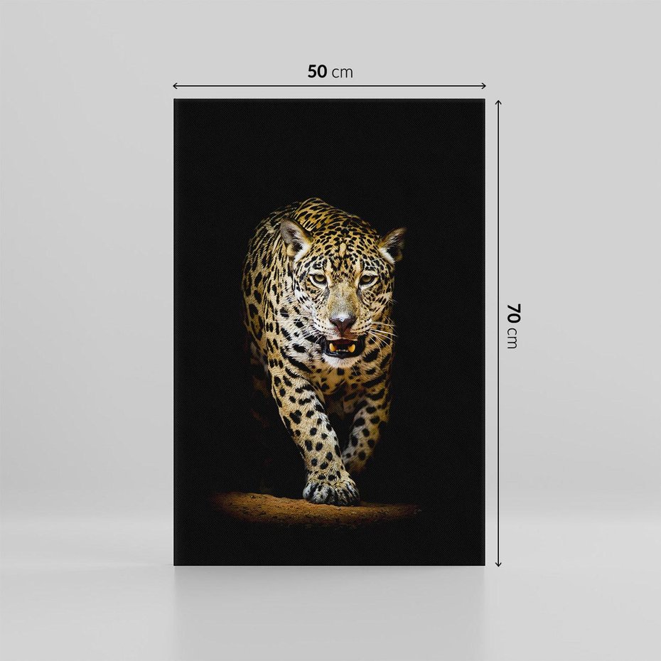 Obraz na płótnie 50x70 - Elegancja lamparta - lampart, pantera