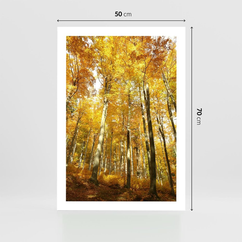 Plakat bez ramy 50x70 - Jesienny Las - Kolorowa Paleta Natury - jesień, drzewa