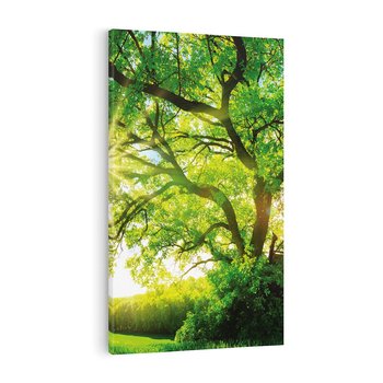 Obraz na płótnie 70x100 - Natura w pełnym rozkwicie - drzewo, niebo