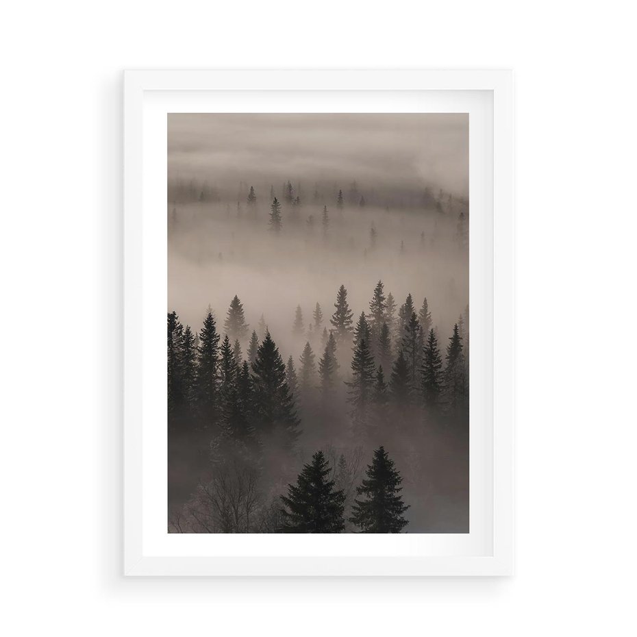 Plakat w ramie 50x70 - Mglista Opowieść Lasu - las, mgła - rama biała