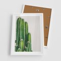 Plakat w ramie 50x70 - Minimalistyczne Kaktusy na Białym Tle - kaktusy, minimalistyczna fotografia - rama biała