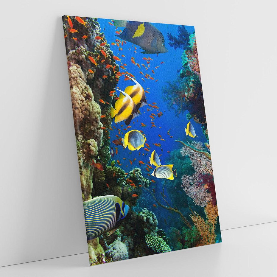 Obraz na płótnie 80x120 - Podwodne królestwo rafy koralowej - rafa, koralowa