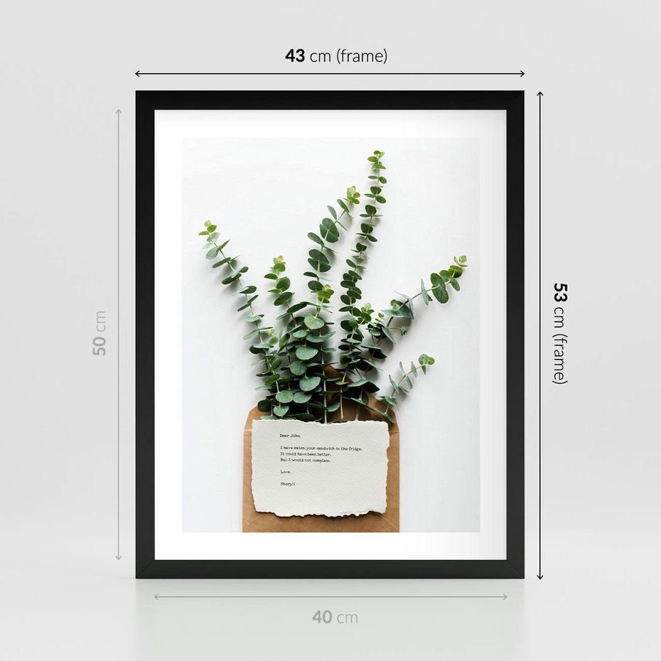 Plakat w ramie 40x50 - Eukaliptusowa harmonia - eukaliptus, liście - rama czarna