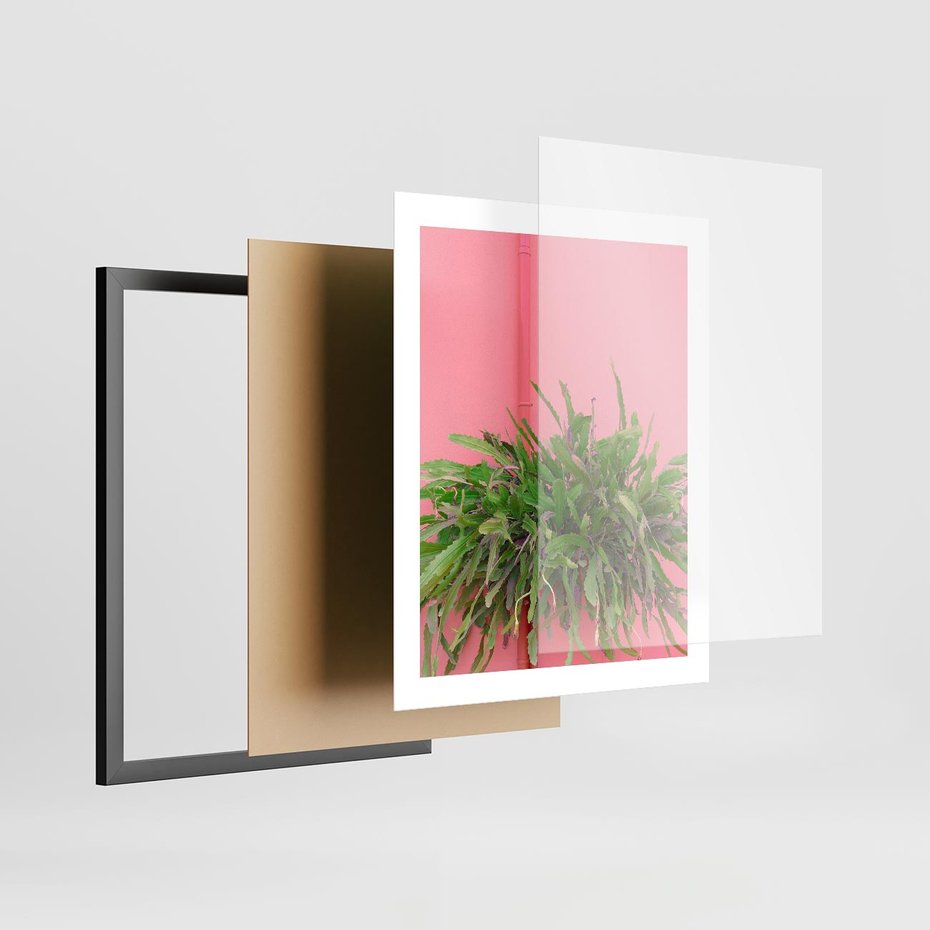 Plakat w ramie 40x50 - Fotografia Rośliny z Różowym Tłem - fotografia, zielona roślina na tle różwj ściany - rama czarna