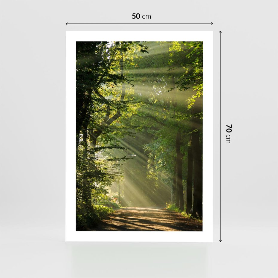 Plakat bez ramy 50x70 - harmonia natury - las, drzewa