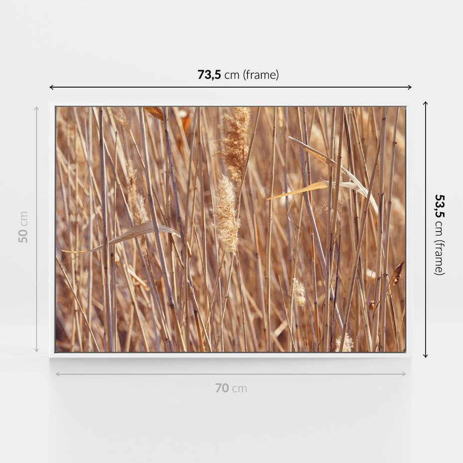 Obraz w ramie 70x50 - Mistrzowskie suche trawy - suche, trawy - rama biała