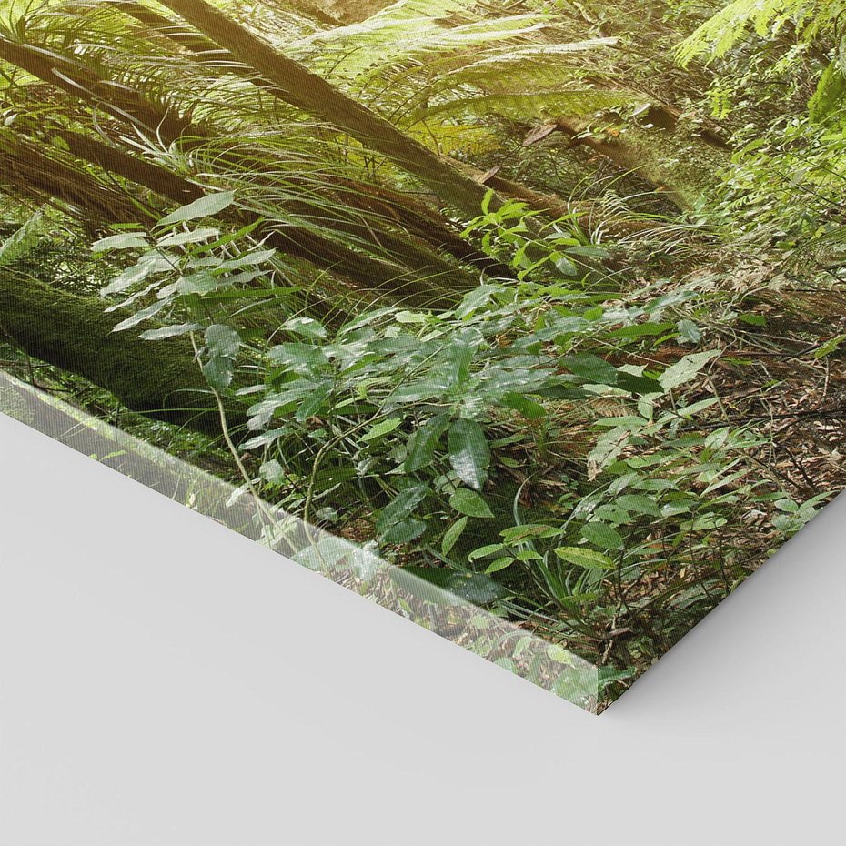 Obraz na płótnie 80x80 - Uroczysty Las Drzew - las, drzewa