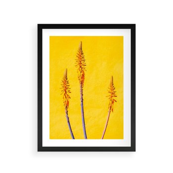 Plakat w ramie 30x40 - Radość Natury - kolor, kwiaty - rama czarna