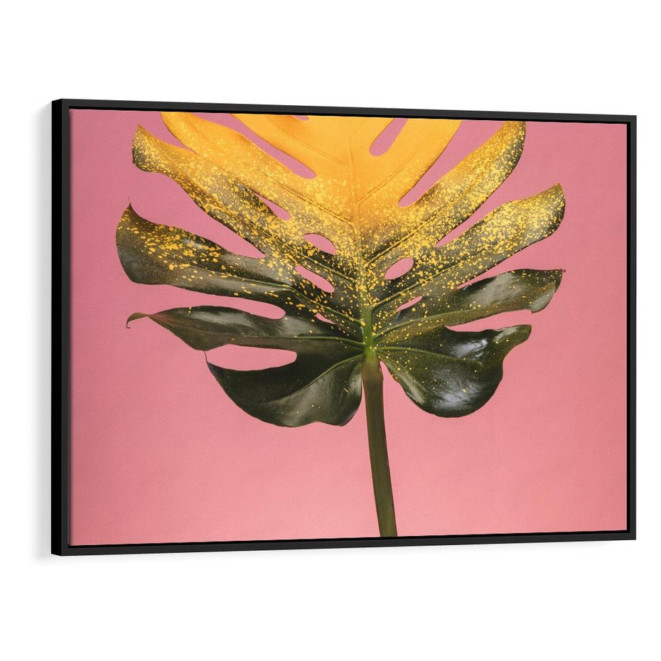 Obraz w ramie 70x50 - Majestatyczna monstera - monstera, liść - rama czarna