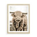Plakat w ramie 50x70 - Klimat Wiejskiego Życia - amerykańska krowa, byk - rama drewno