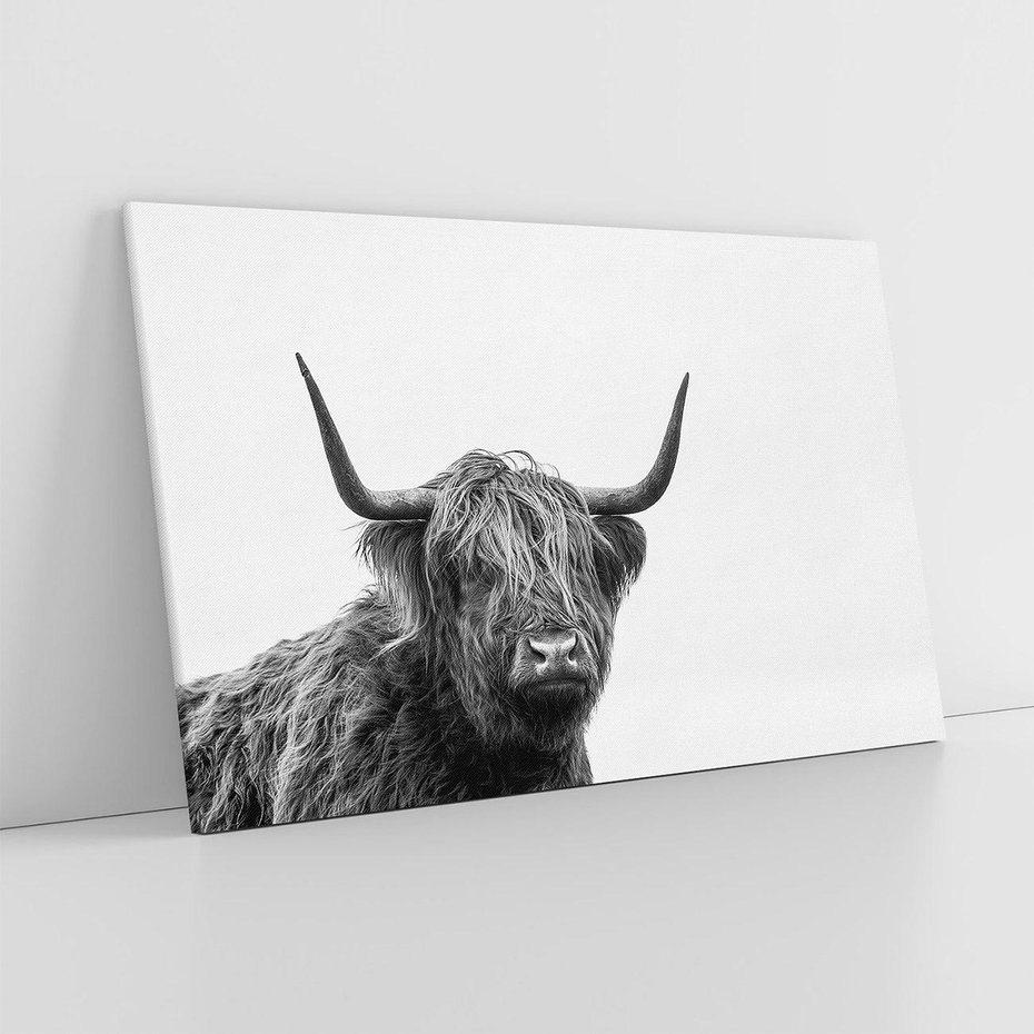 Obraz na płótnie 120x80 - Moc i Spokój - amerykańskie bydło, byk