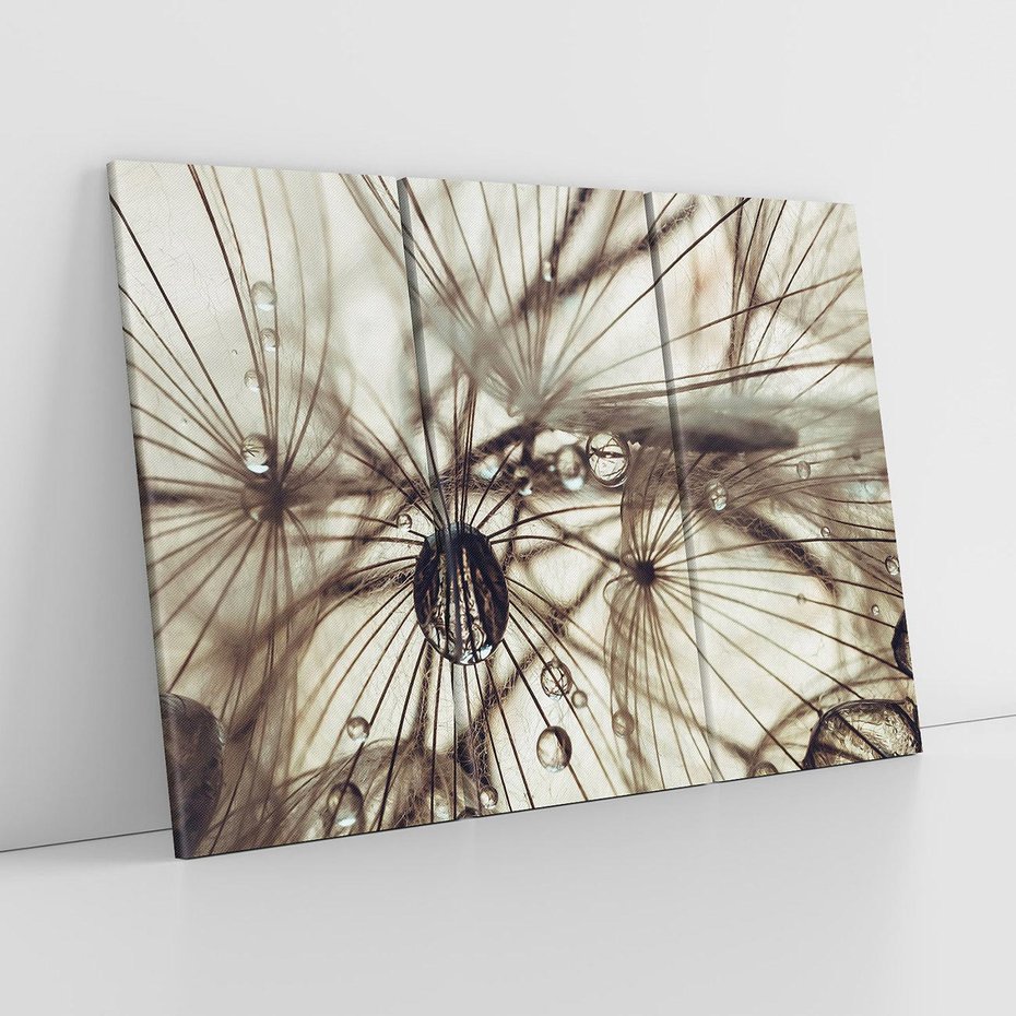 Obraz na płótnie 120x80 - Lekkie dmuchawce - dmuchawce, krople