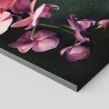 Obraz na płótnie 120x40 - Harmonia i relaks - orchidea, kwiat