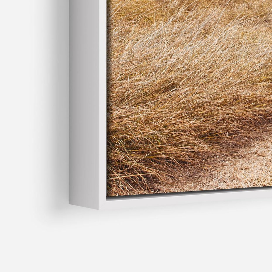 Obraz w ramie 80x80 - Tajemnicza Ścieżka - latarnia morska w oddali, suche trawy - rama biała