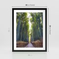 Plakat w ramie 40x50 - Urokliwa dróżka w lesie - las, dróżka - rama czarna