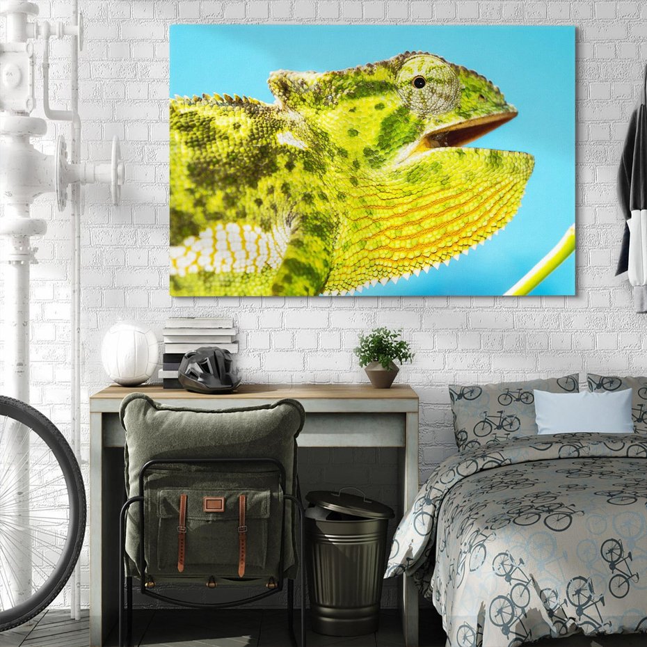 Obraz na płótnie 70x50 - Kameleon w swoim świecie - kameleon, jaszczurka