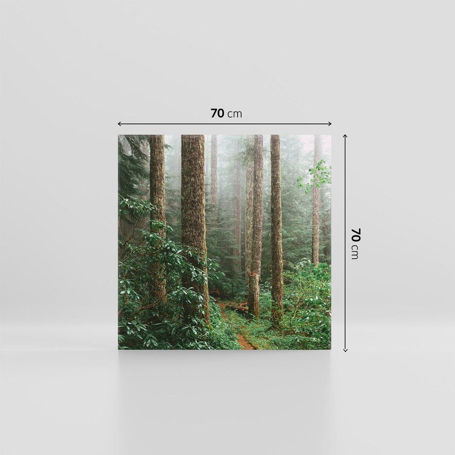 Obraz na płótnie 70x70 - Mgliste Marzenia - artystyczna fotografia, las