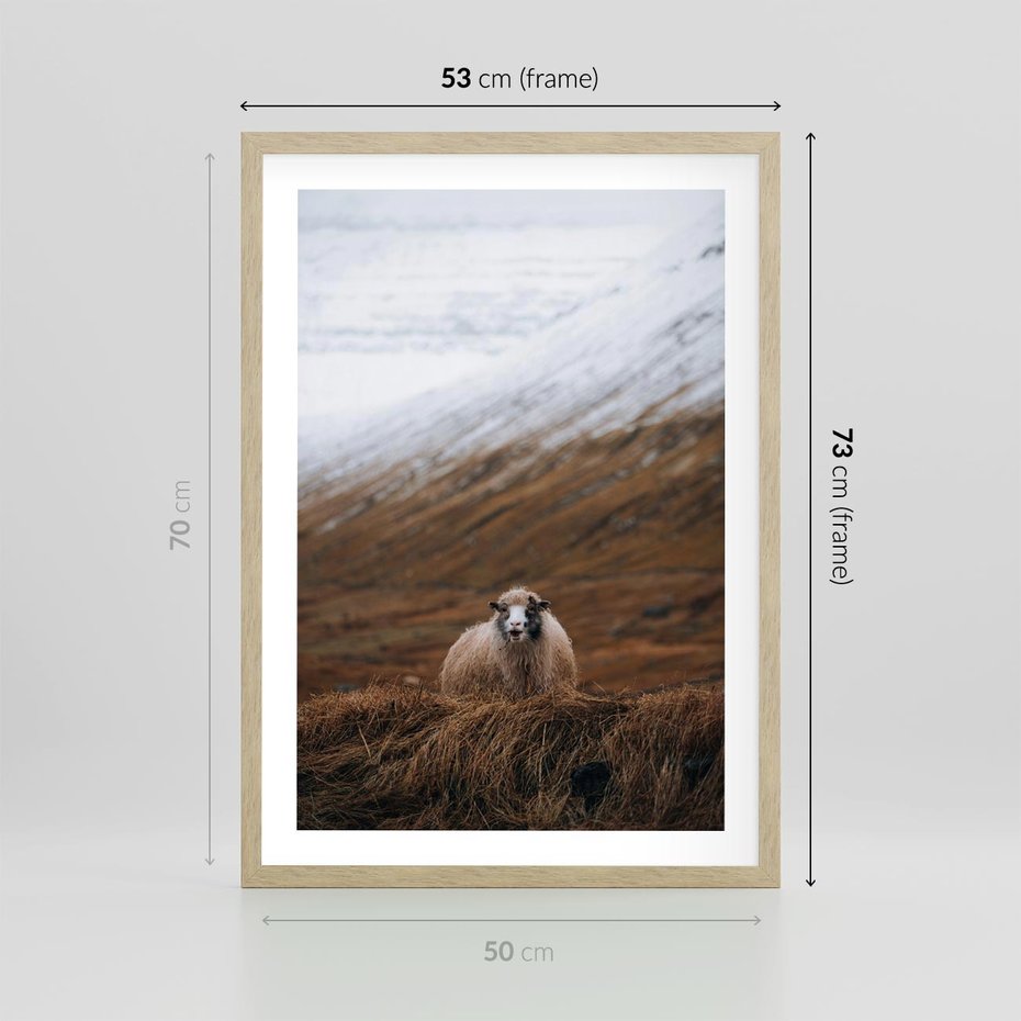 Plakat w ramie 50x70 - Owiecka panorama - góry, owca - rama drewno