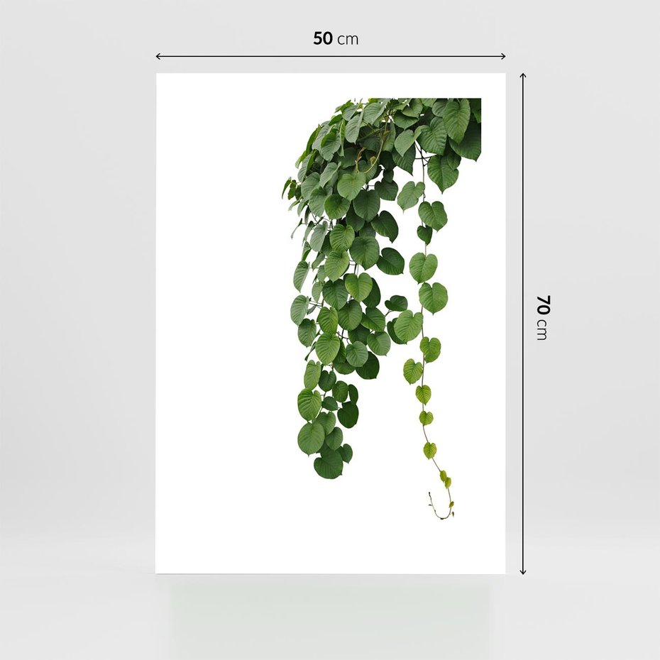 Plakat bez ramy 50x70 - Świeżość Natury - liście, zielone