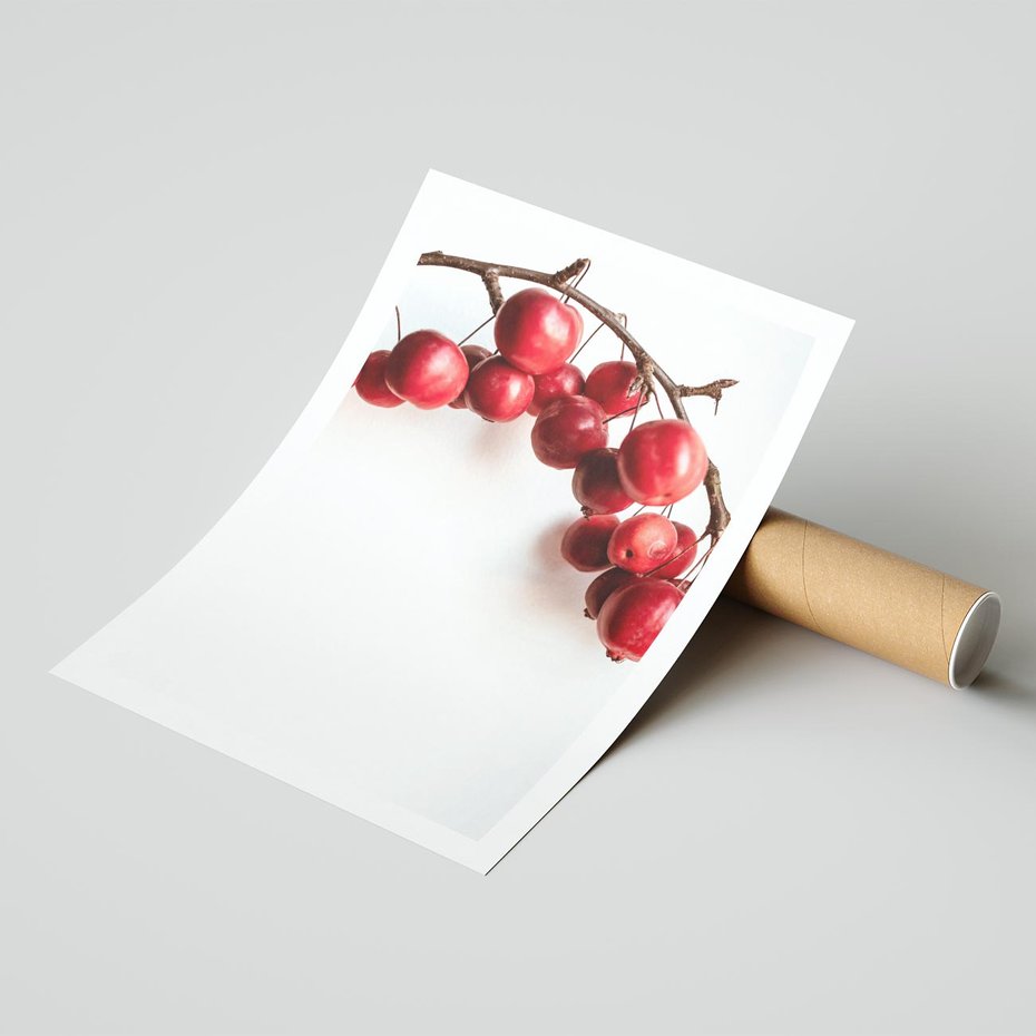 Plakat bez ramy 30x40 - Jesienne Owoce - jarzębina, czerwone owoce