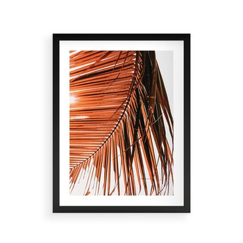 Plakat w ramie 30x40 - Słońce na Palmie - palma, promienie słońca - rama czarna