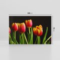 Obraz na płótnie 100x70 - Tulipany w przyrodzie: harmonia kształtów - tulipany, kiwaty