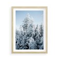 Plakat w ramie 50x70 - Magia Śnieżnych Drzew - zima, iglaste drzewa - rama drewno