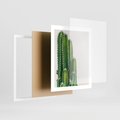 Plakat w ramie 40x50 - Minimalistyczne Kaktusy na Białym Tle - kaktusy, minimalistyczna fotografia - rama biała